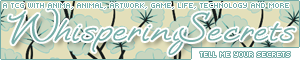 Banner 300x60