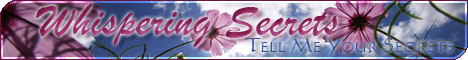 Banner by Nivia